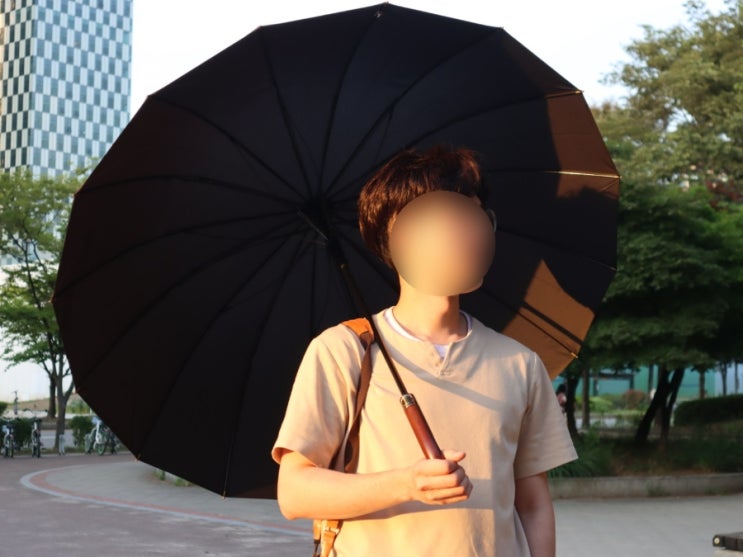  원목 고급장우산 추천 :: 튼튼한 뷰스트 킹스맨우산 (클래식 디자인)