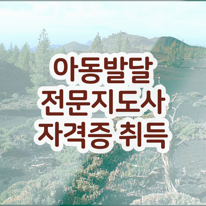  아동발달전문지도사 자격조건 , 아동발달전문지도사 자격증 합격한 전략 정보 퍼펙트 요약