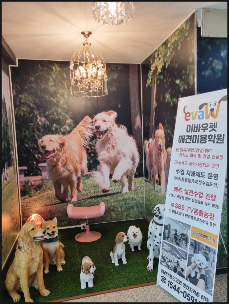  대전 둔산동 애견미용학원 이바우펫 비용 아끼는 방법!