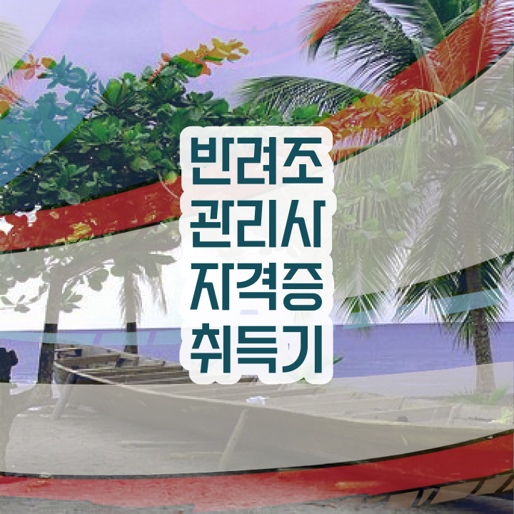  금강앵무분양 , 반려조관리사 자격증 단기간에 취득한 정보 최신정보 공유