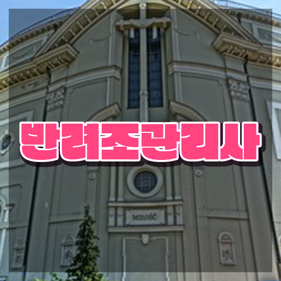  애완앵무새키우기 , 반려조관리사 자격증 독학으로 준비한 방법 , 향후 전망
