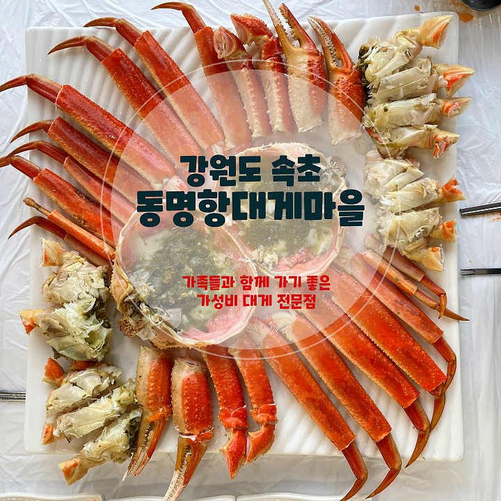  속초 대게 맛집 동명항대게마을, 가족 여행에서 꼭 가봐야 할 맛집