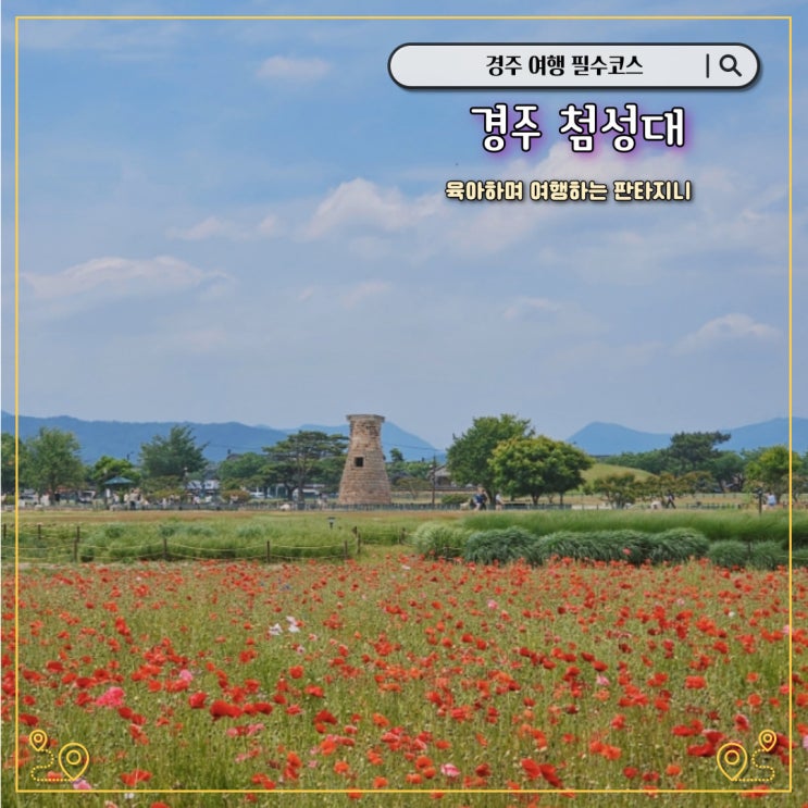  경주 첨성대 양귀비 꽃구경 - 경주여행 필수 코스