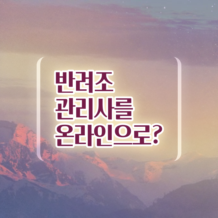  코뉴어 앵무새 종류 , 반려조관리사 자격증 학습한 후기 핵심 정보 가득