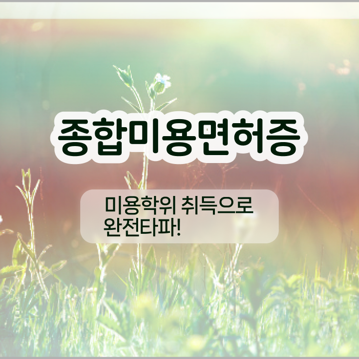  눈썹 반영구 , 눈썹 반영구 오픈 반드시 챙겨야 하는 자격증은? 하나 하나 확인하고 싶다면