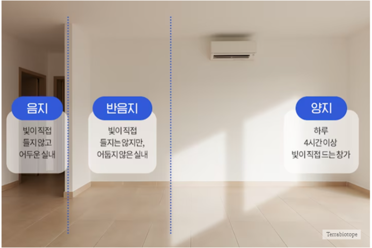  무환수 어항 테라비오톱 설치장소와 실내환경에 관하여