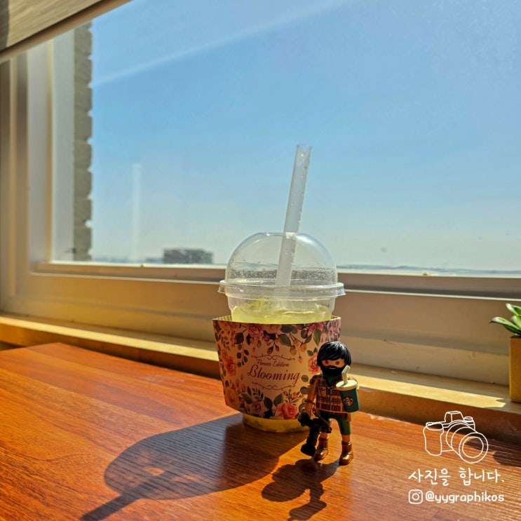  [인천시 중구 북성동] 인천역 차이나타운 벚꽃 뷰 맛집, 카페 - 더선셋카페
