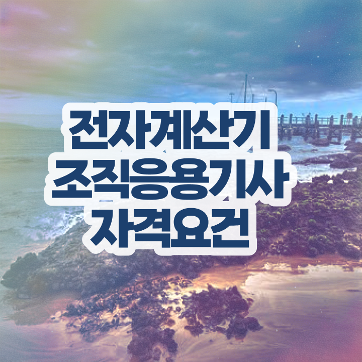  전자계산기조직응용기사 시험일정 전자계산기조직응용기사 자격요건 독학으로 단기간에 준비한 팁