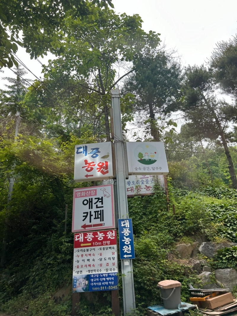 영화산장 애견카페