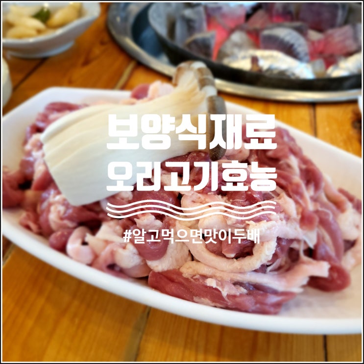  오리고기 효능 주의사항 A-Z까지 알아보자