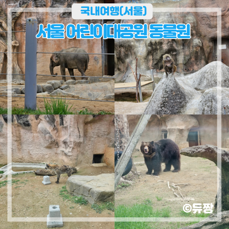  서울 어린이대공원 동물원 방문 후기(주차, 입장료)