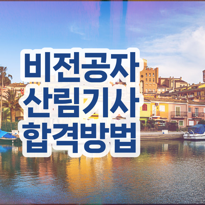  산림기사 독학 산림기사 자격요건 인강만 듣고 단기간에 완료한 전략