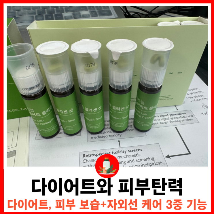  지방컷팅 다이어트와 피부 탄력을 위한 완벽한 솔루션 리즈랩 다이어트 콜라겐 샷으로 건강하게