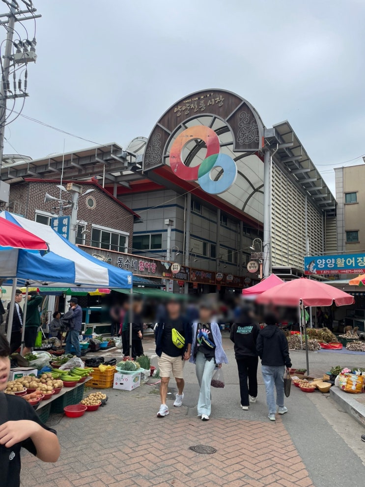  강원도 전통시장 양양시장에 가다!