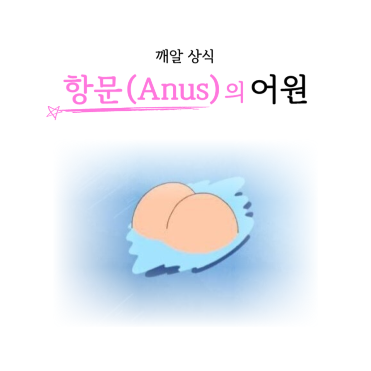  깨알 상식 : 항문(Anus)의 어원 / 소사동pt