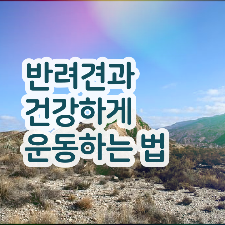  여자 자격증 추천 , 반려견운동지도사 인강만 듣고 독학으로 관련학과 졸업장 없어도 간단하게 끝낼수 있었던 꿀팁 모음