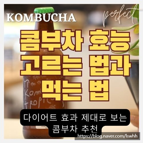  셀럽들이 먹는 콤부차란? 효능과 부작용 - 다이어트, 장 건강, 면역력, 항산화, 당뇨 및 혈당 개선