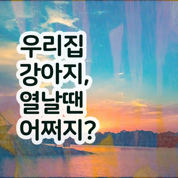  반려동물 자격증 무료 교육 , 반려동물관리사 자격증 합격한 비법 핵심 정보