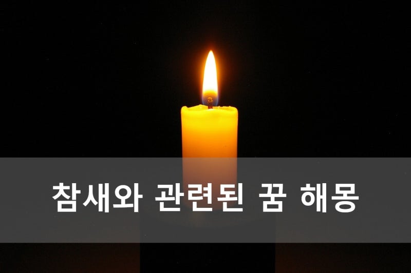 참새와 관련된 꿈 해몽