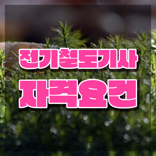  전기철도기사 응시자격 전기철도기사 시험자격 학점은행제로 쉽고 빠르게 끝낸 과정