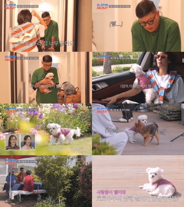  김지호김호진, 호텔 같은 집 공개→달달한 '남해살이' 떠난다 [사랑꾼] ...실시간 핫이슈
