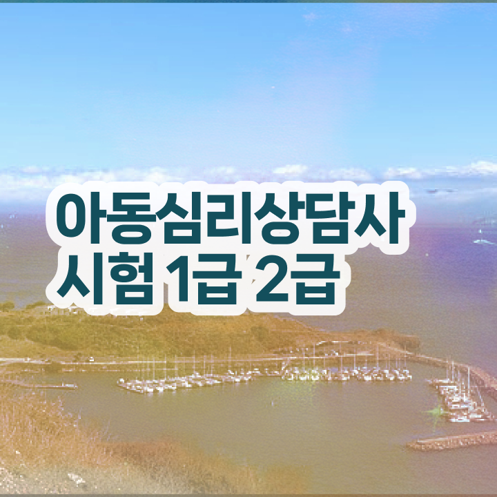  노인전문상담사 , 심리상담사 자격증 1급,2급 동시에 취득한 정보 및 취업