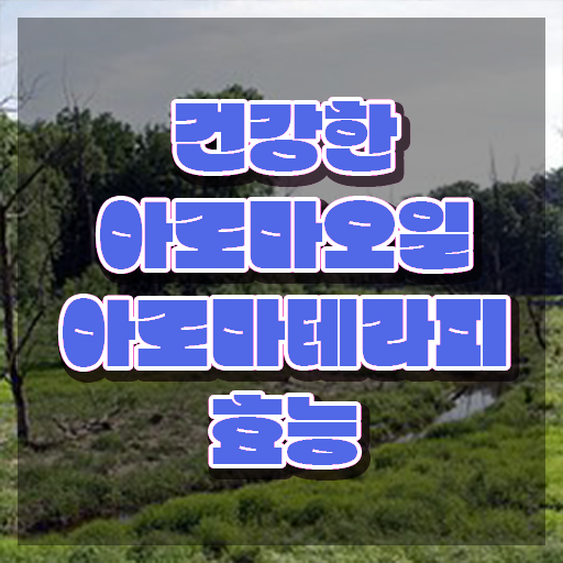  아로마뷰티diy지도사 인증 , 아로마뷰티DIY지도사 자격증 합격한 후기 핵심 정보
