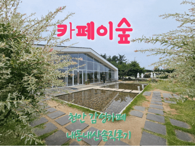  카페이숲 천안감성카페 내돈내산솔직후기