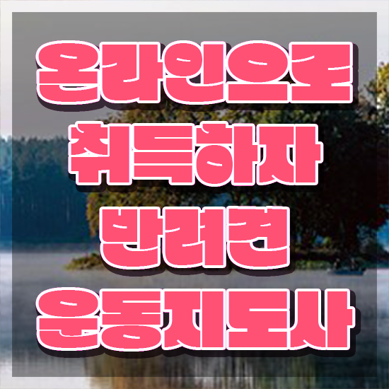 반려견운동지도사 무료수강 , 반려견운동지도사자격증 간단하게 공부한 방법