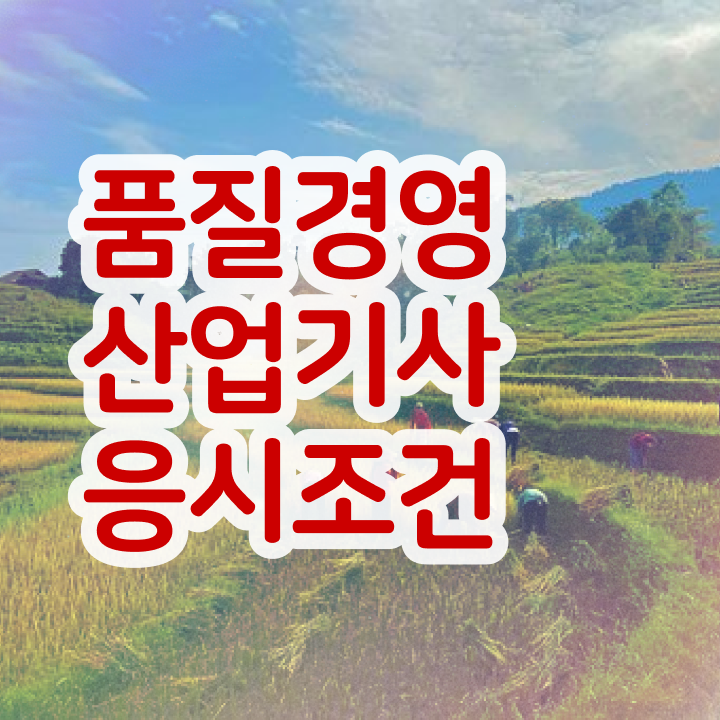  품질경영산업기사 필기 품질경영산업기사 응시자격 인강만 듣고 4달만에 완료한 노하우