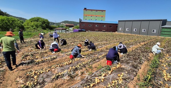  전남도, 봄철 농번기 인력난 해소 위해 농촌인력종합상황실 가동