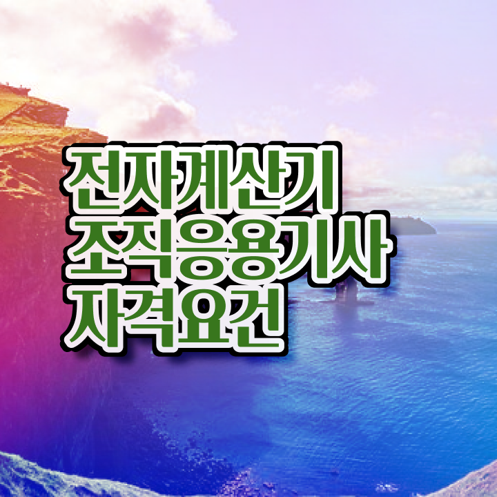  전자계산기조직응용기사 취득자격 집에서 온라인으로 1학기 만에 끝낸 과정