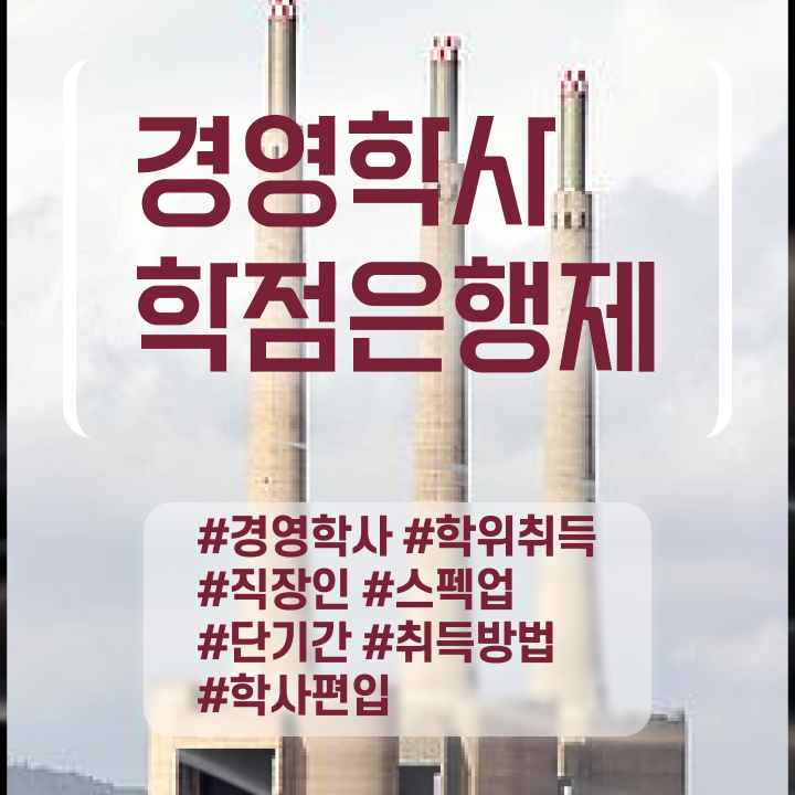  고려대 경영학과 , 경영학 자격증 비전공자도 편하게 완료한 방법