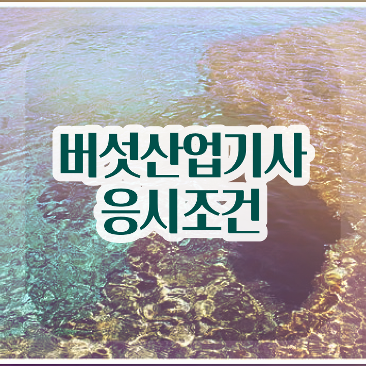  버섯산업기사 응시자격 집에서 온라인으로 빠르게 성공한 후기