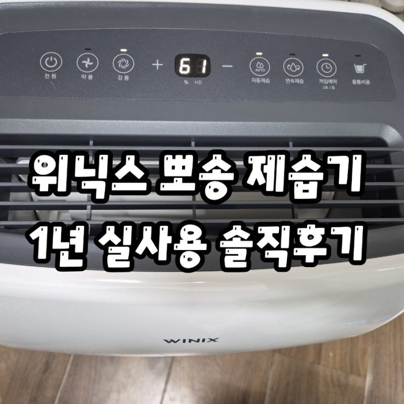 [제습기 추천] 장마철 가성비 좋은 위닉스 뽀송 제습기 10L(DXTE100-KWK) 1년 실사용 후기 (자취방 ....