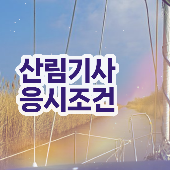  산림기사 자격 산림기사 시험자격 독학으로 4달만에 성공한 후기