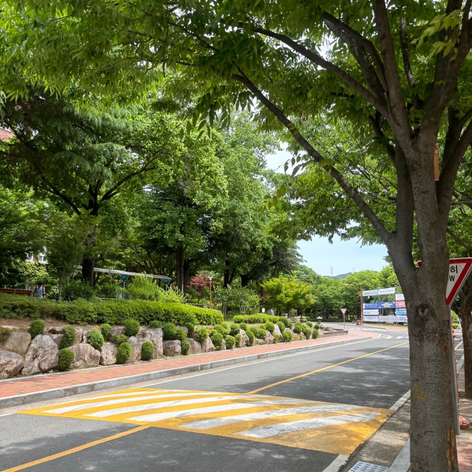 계명대학교 바우어 신관 양식당 사진 3