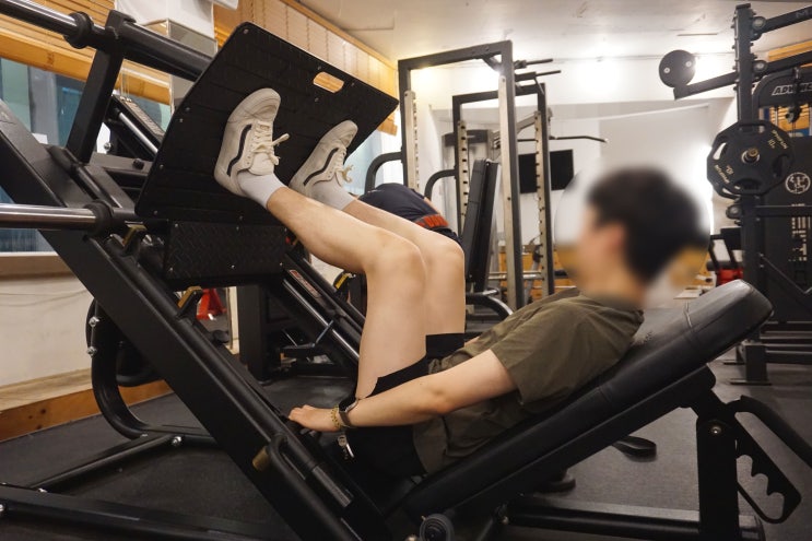  군자동헬스장 머슬H휘트니스 대표님께 PT 받아보다!