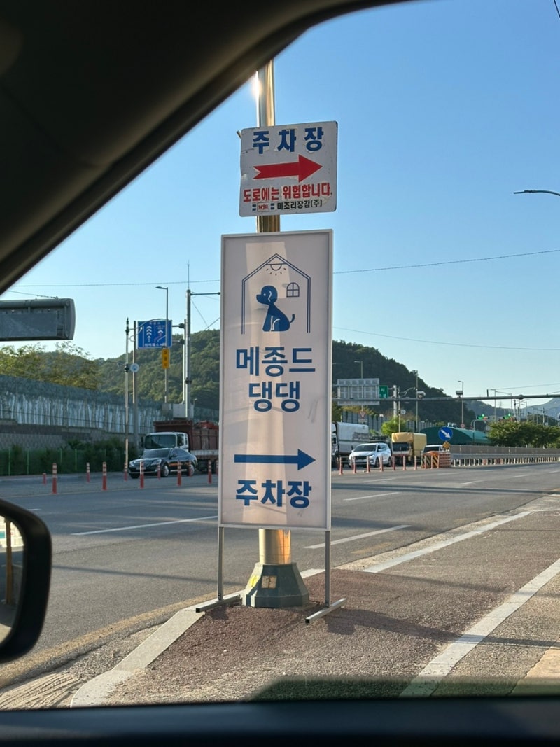 메종드댕댕