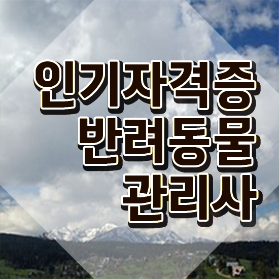  반려동물관리사 , 반려동물관리사 자격증 취득했던 후기 핵심 정보