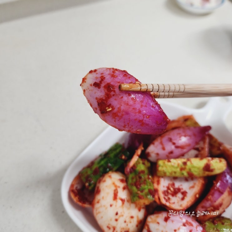  양파김치담그는법 아삭한 오이김치 오이양파김치담그기
