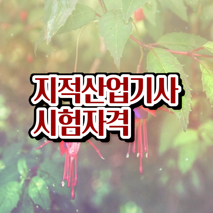  지적산업기사 필기합격률 지적산업기사 취득자격 인강만 듣고 4달만에 성공한 전략