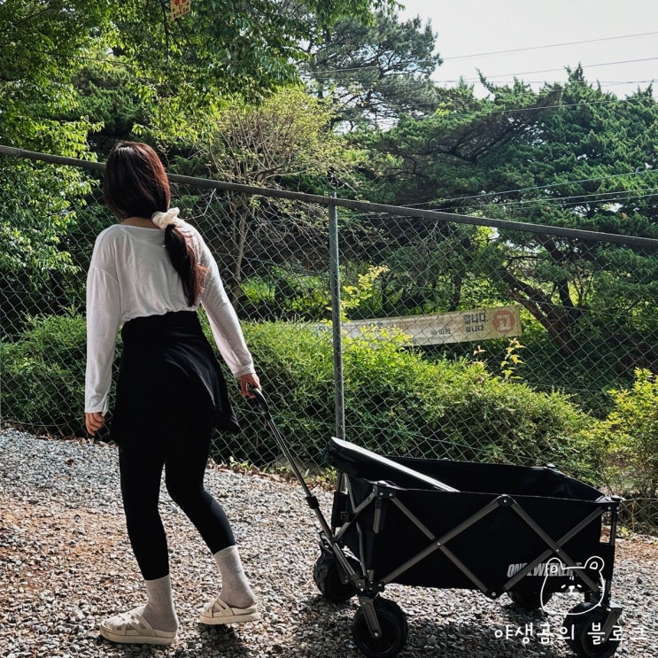  캠핑 웨건 추천 캠핑용으로 고르는 구매 가이드