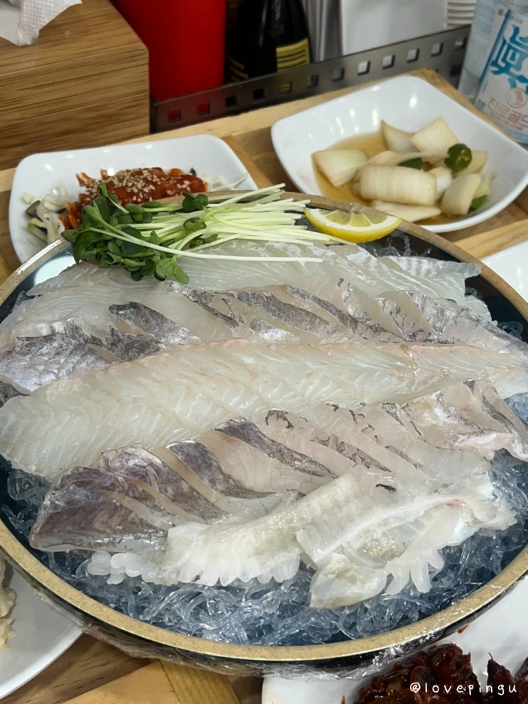  인천 완정역 맛집 가성비 횟집 싱싱회 수산시장