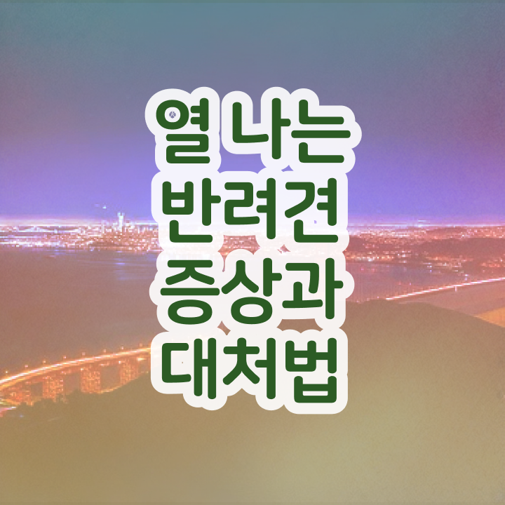  50대여자취업 , 반려동물관리사 자격증 응시자격 없이 취득한 정보 정리