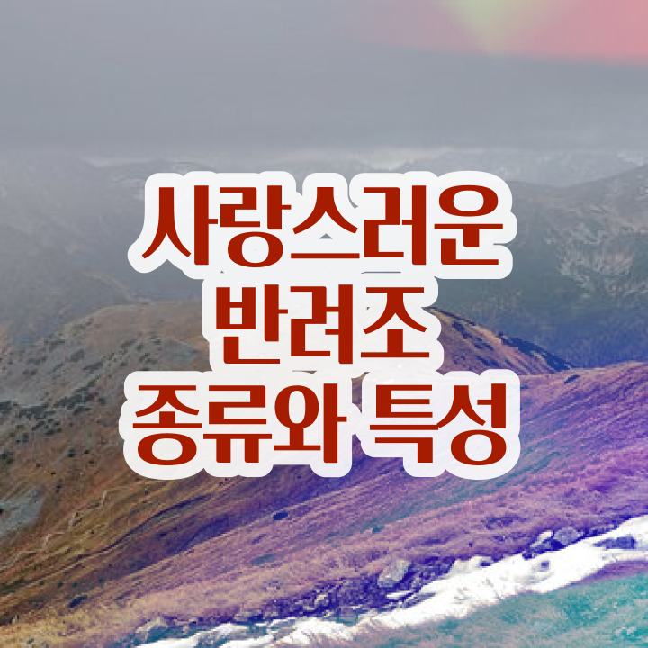  앵무새키우기 , 반려조관리사 자격증 합격정보 알려드립니다