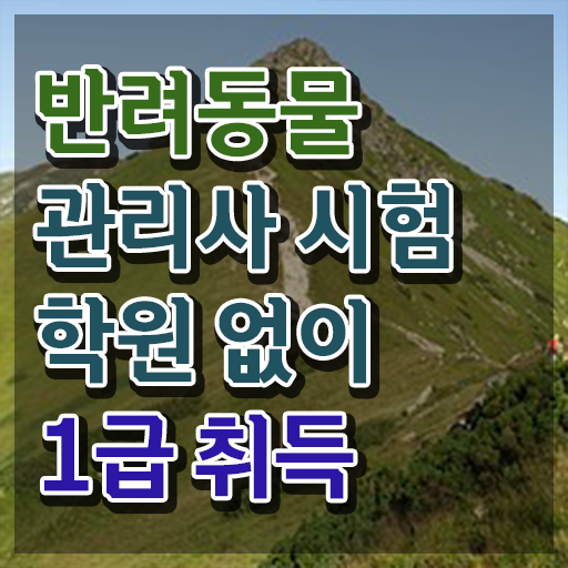  반려동물학과 4년제 , 반려동물관리사 자격증 취득한 방법 소개합니다