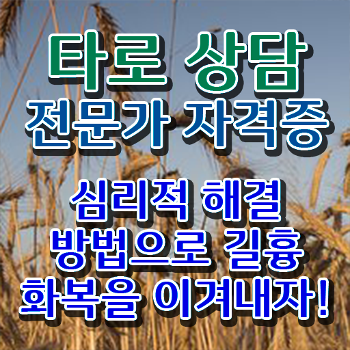  타로카드 달 , 타로상담전문가 집에서 온라인으로 관련학과 아니어도 간단하게 준비했던 팁