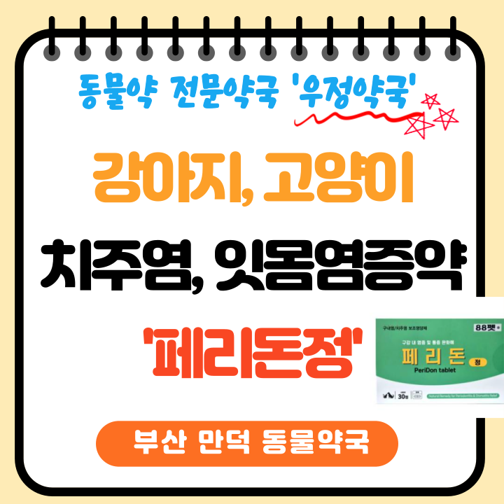 [부산만덕동물약국] 강아지, 고양이 잇몸, 치주염 영양제 '페리돈정' (feat 판매약국, 가격 )