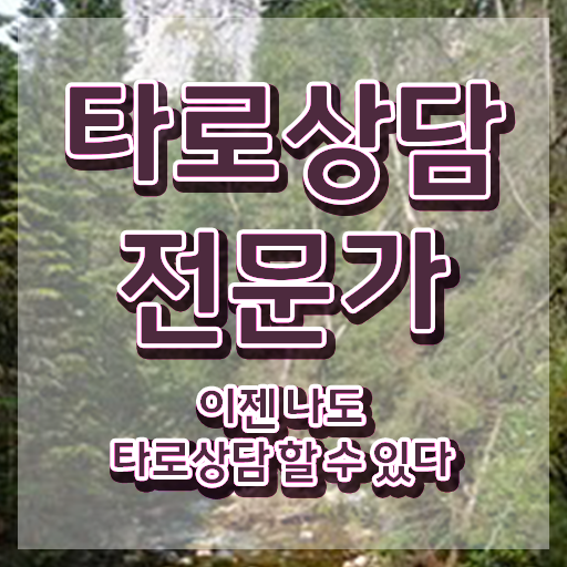  타로카드 달 , 타로상담전문가 취득한 방법 , 하는일